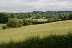 dsc_3690_tumulus_de_newgrange.jpg