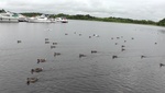 dsc_3977_s1010039_loughkey_adventure_boyle.jpg