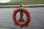 dsc_4450_sortie_en_bateau_dans_l_unique_fjord_irlandais.jpg