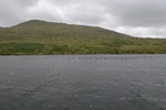 dsc_4460_sortie_en_bateau_dans_l_unique_fjord_irlandais.jpg