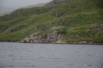 dsc_4476_sortie_en_bateau_dans_l_unique_fjord_irlandais.jpg