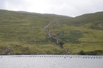 dsc_4494_sortie_en_bateau_dans_l_unique_fjord_irlandais.jpg