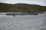 dsc_4544_sortie_en_bateau_dans_l_unique_fjord_irlandais.jpg