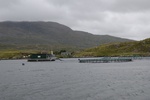 dsc_4553_sortie_en_bateau_dans_l_unique_fjord_irlandais.jpg