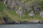 dsc_4576_sortie_en_bateau_dans_l_unique_fjord_irlandais.jpg