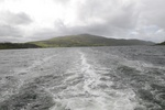 dsc_4617_sortie_en_bateau_dans_l_unique_fjord_irlandais.jpg