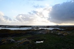 dsc_4706_balade_du_soir_entre_roundstone_et_clifen.jpg