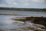 dsc_4975_roundstone.jpg