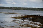 dsc_4975_roundstone.jpg