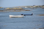 dsc_5574.jpg