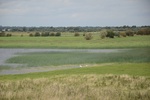 dsc_5859_clonmacnoise.jpg