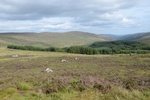 dsc_5924.jpg