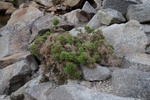 dsc_6054_ruines_au_dessus_de__glendalough.jpg