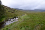dsc_6087.jpg