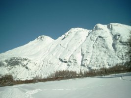 SIMG3378