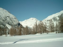 SIMG3397