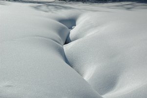 DSC_1433