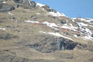 dsc_8622_chamois