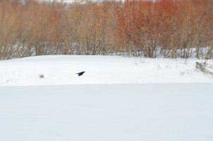 DSC_5280