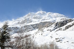 DSC_1458