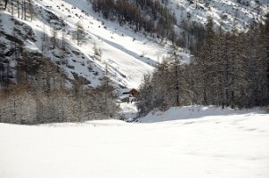 DSC_1534 - Copie