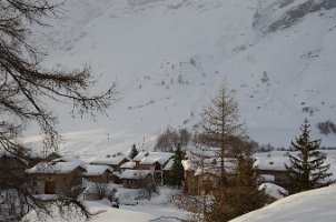 DSC_4504