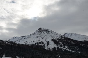 DSC_4434