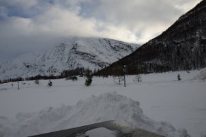 DSC_4467