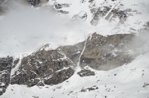 DSC_4517