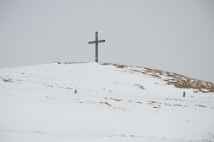 DSC_1185