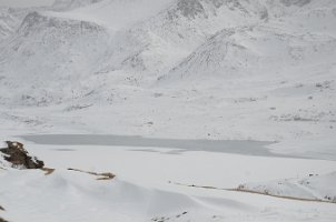 DSC_1200