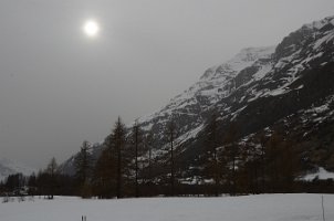DSC_1358